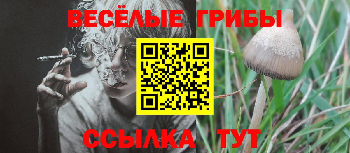 Галлюциногенные грибы ЛСД Ангарск